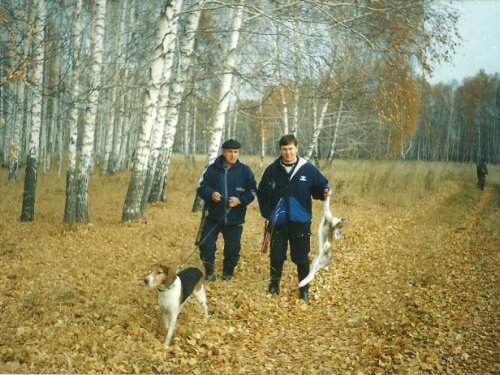 Золотая пора