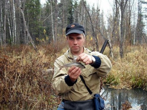 В Кузбассе хариус обитает даже вот в таком болоте.