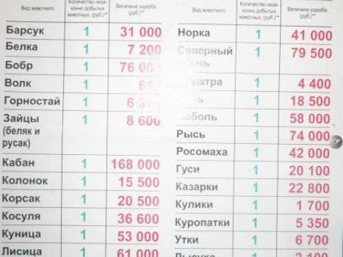 Новые штрафы на 2011 год