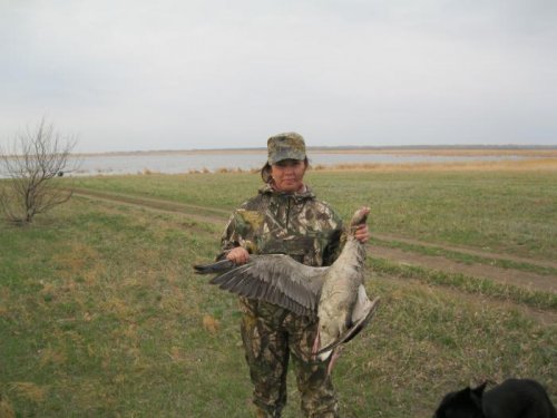 открытие 2011 год