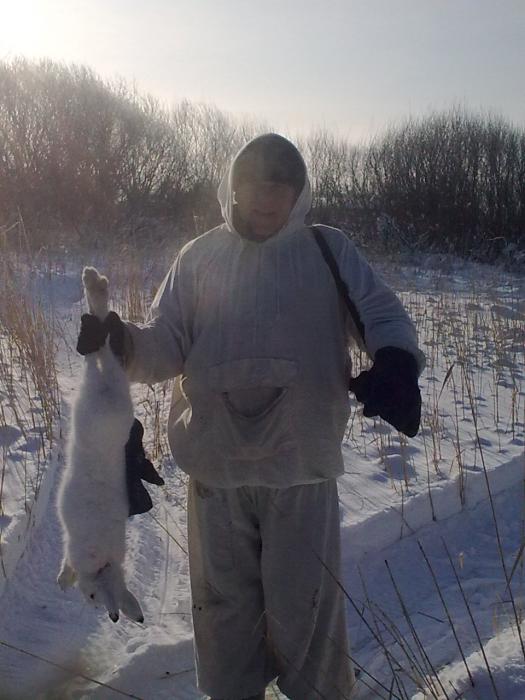 беляк