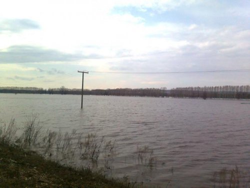Затопленное поле