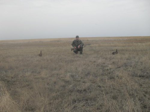 Подсаные 