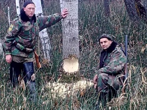 грызут однако 
