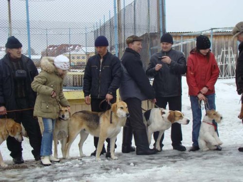 выставка в с.Первомайское ТО