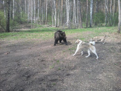 ну Миха берегись )))