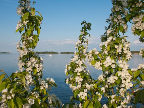Обское "море".