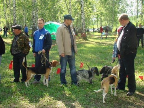 Выставка, парад участников