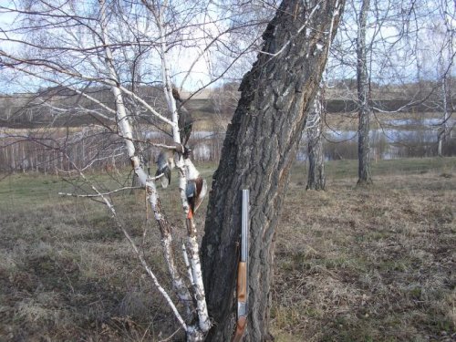 Закрытие весенней охоты 2011г.