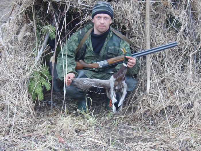 селезень