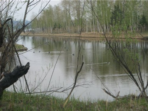 Вечерка!