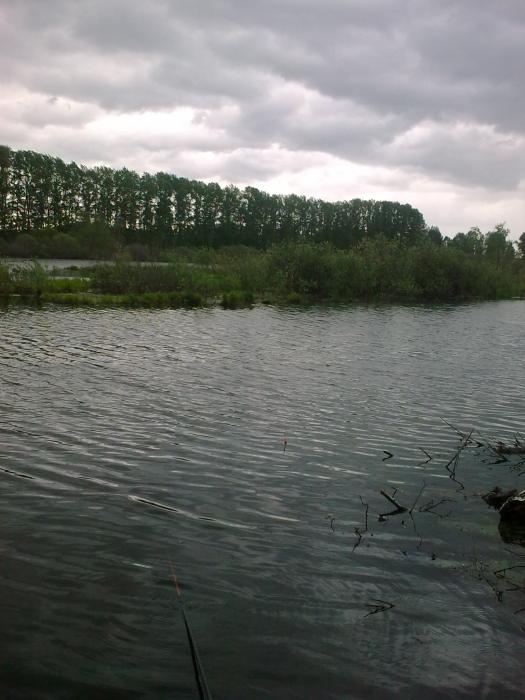 болотце