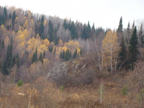 Салаир