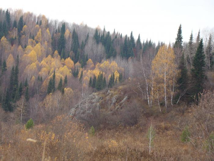 Салаир