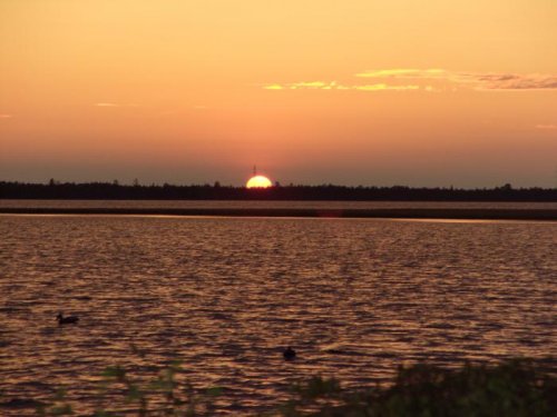 весна 2011г.