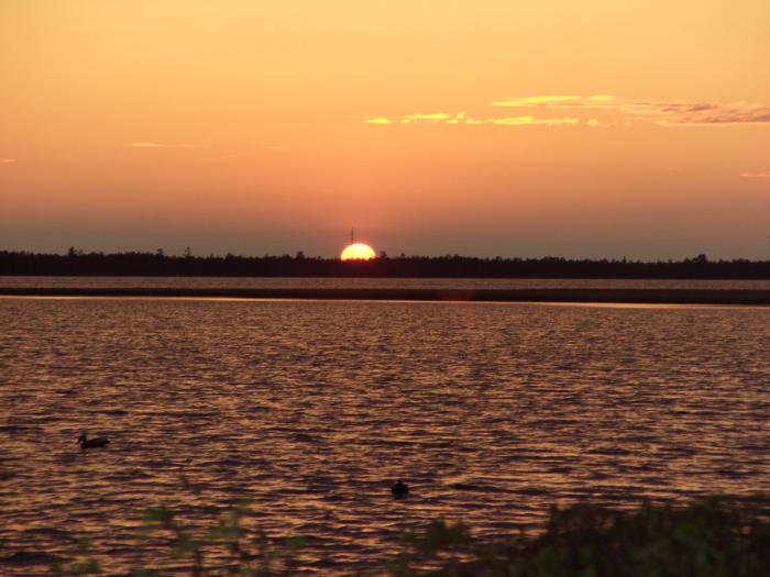 весна 2011г.