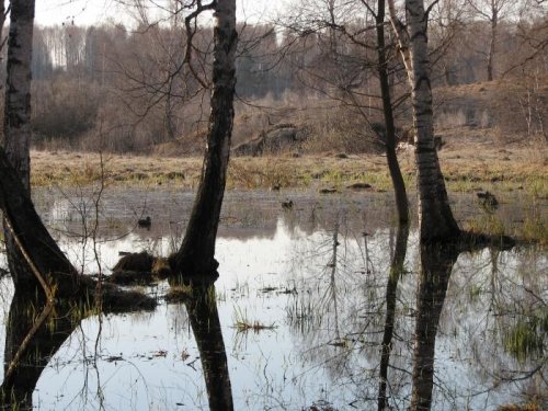 Вторые выходные весенней охоты 2011г.