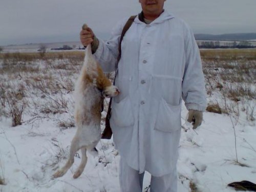русачек