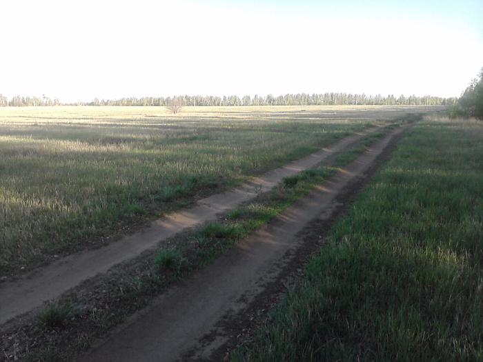Поле