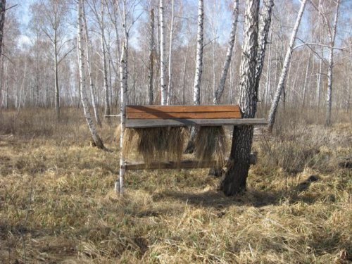 Видать с козою здесь не густо?!