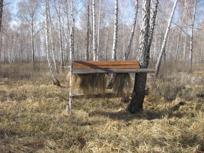 Видать с козою здесь не густо?!