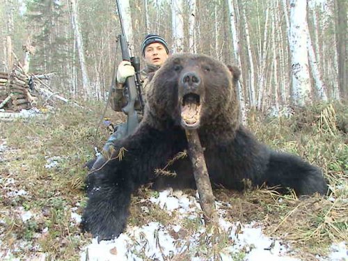 Мишка