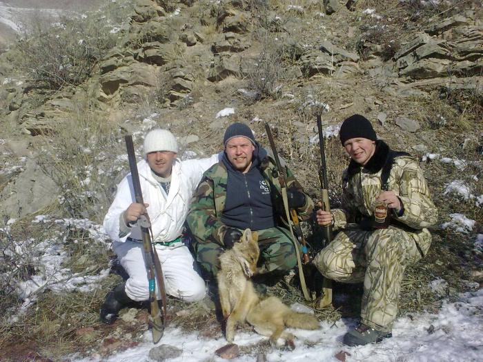 шакал
