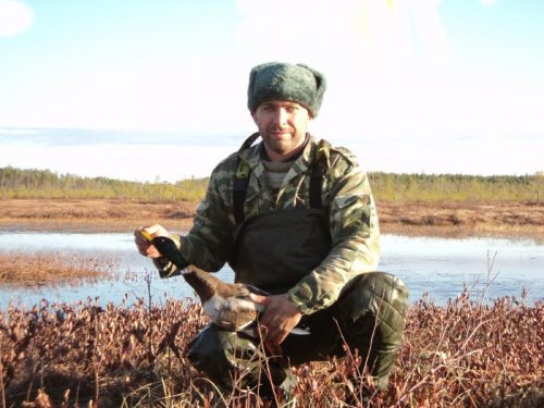 утренний гость