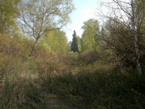 скучно ей одной