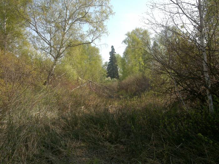 скучно ей одной