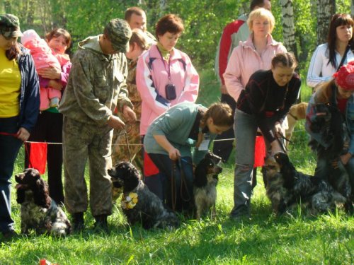 Парад участников 2011