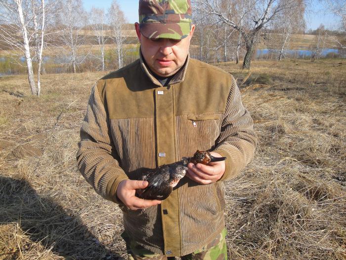 Первая утка 2011