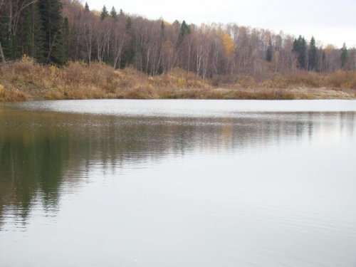 Суенга