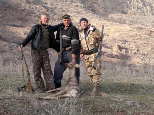 елик