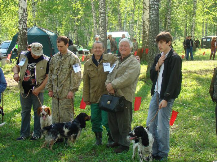 Два гончатника среди спаниЕлей )))