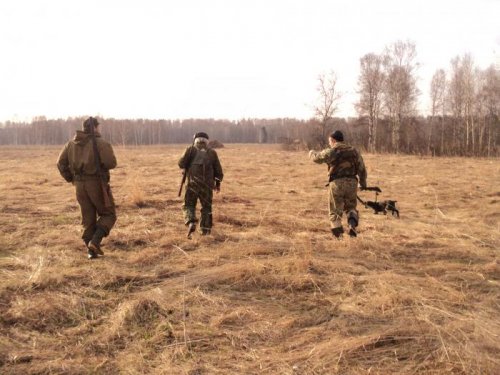 прогулка