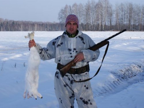 беляк.