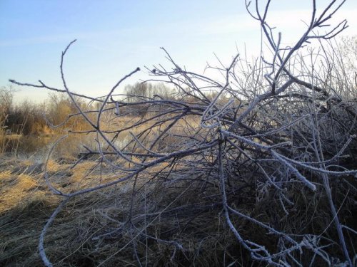 Заморозок... -3