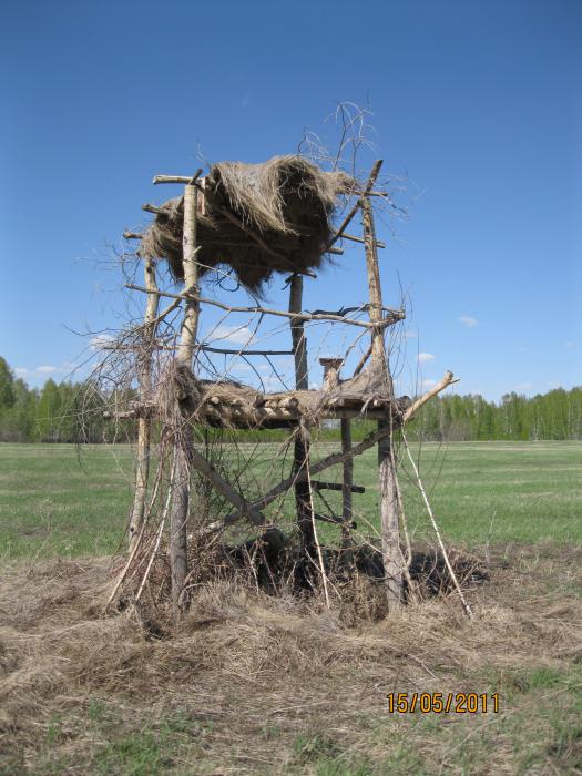 Случайно нашел в лесу вышку