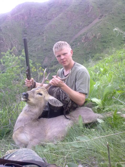 рогач
