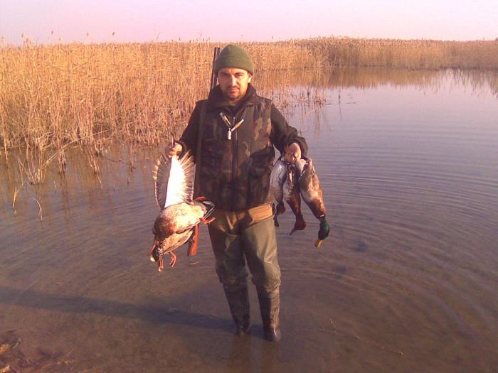 Декабрь 2010