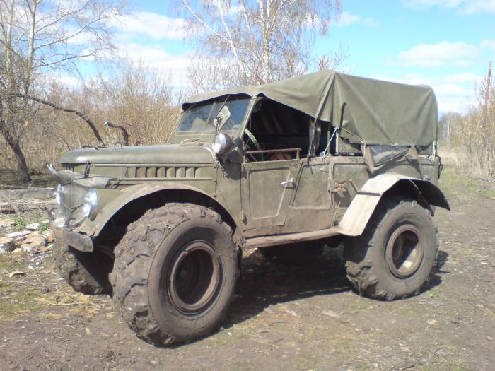 газон