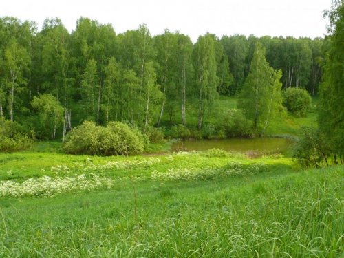 лужка