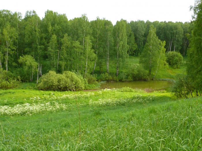 лужка