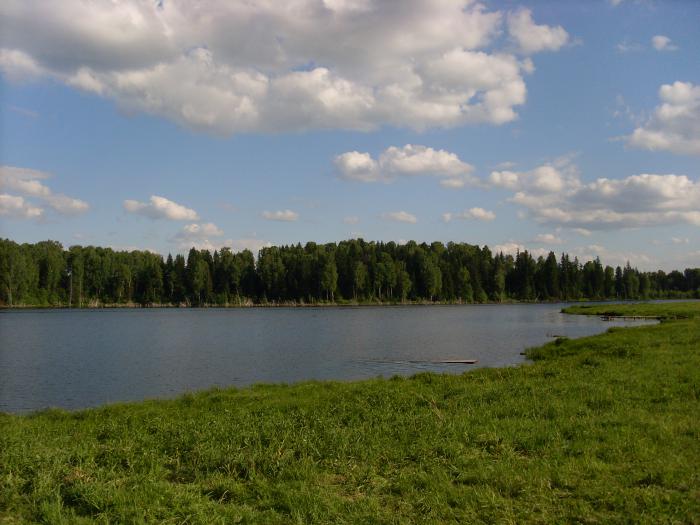 Пруд перед водопадом
