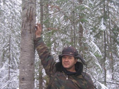 Медведь....  был....