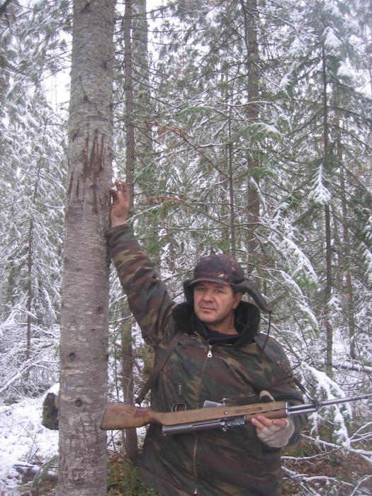 Медведь....  был....