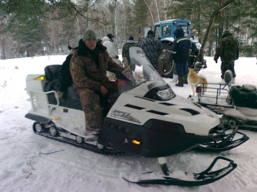 перед загоном на кабана