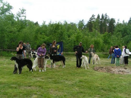  9 выставка БиК 4-5июня 2011г. город Москва