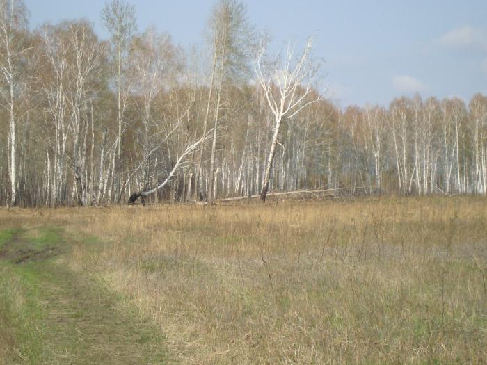 Козлик